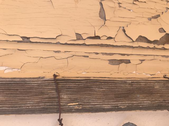 Weathered Wood - Peeling Paint - Carlsbad NM