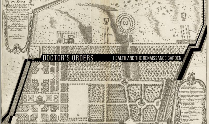 Cover of Benes' essay Doctors orders: Health and the Renaissance Gardens