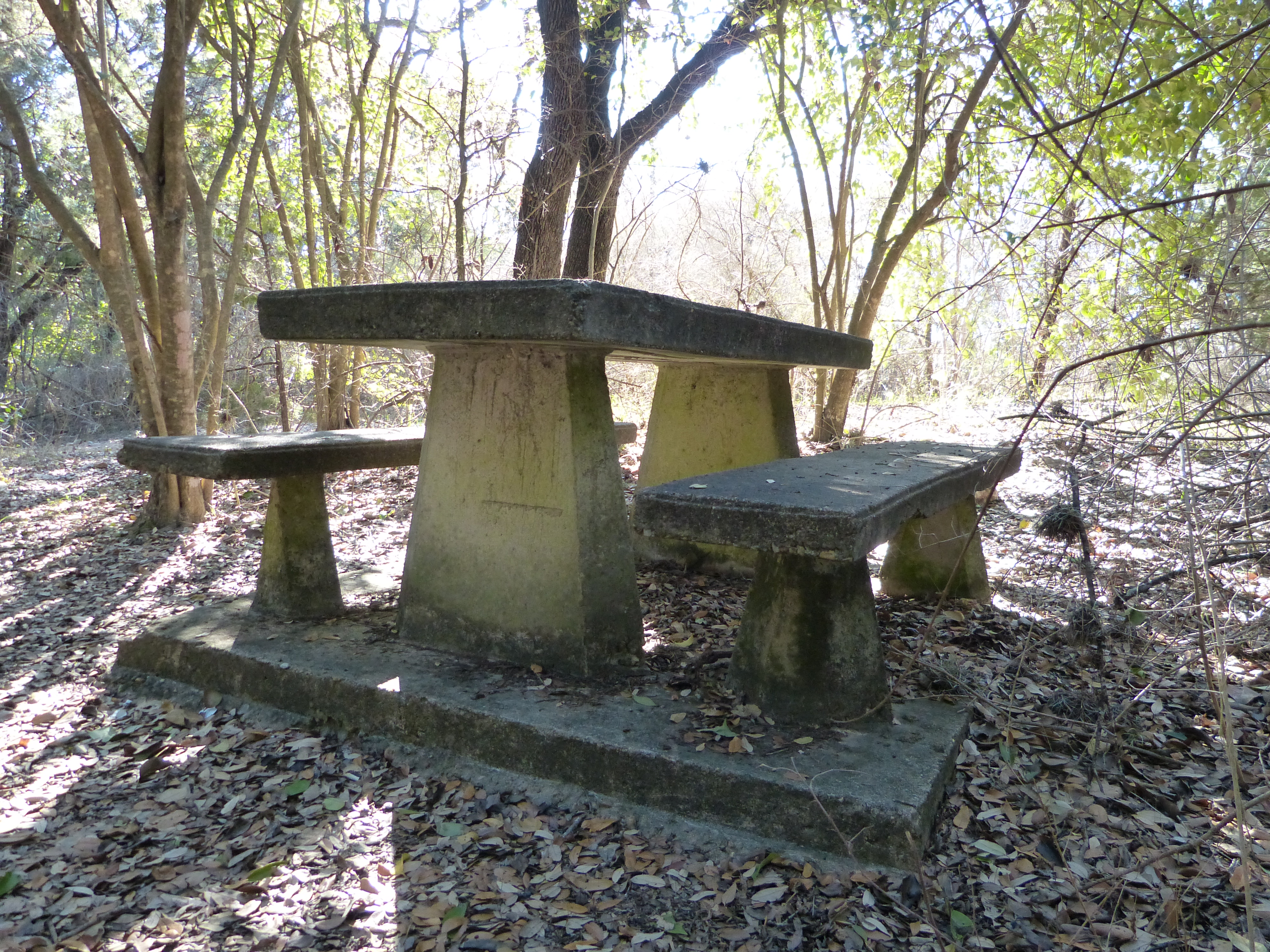 Close up of a CCC-era picnic table at Zilker Park