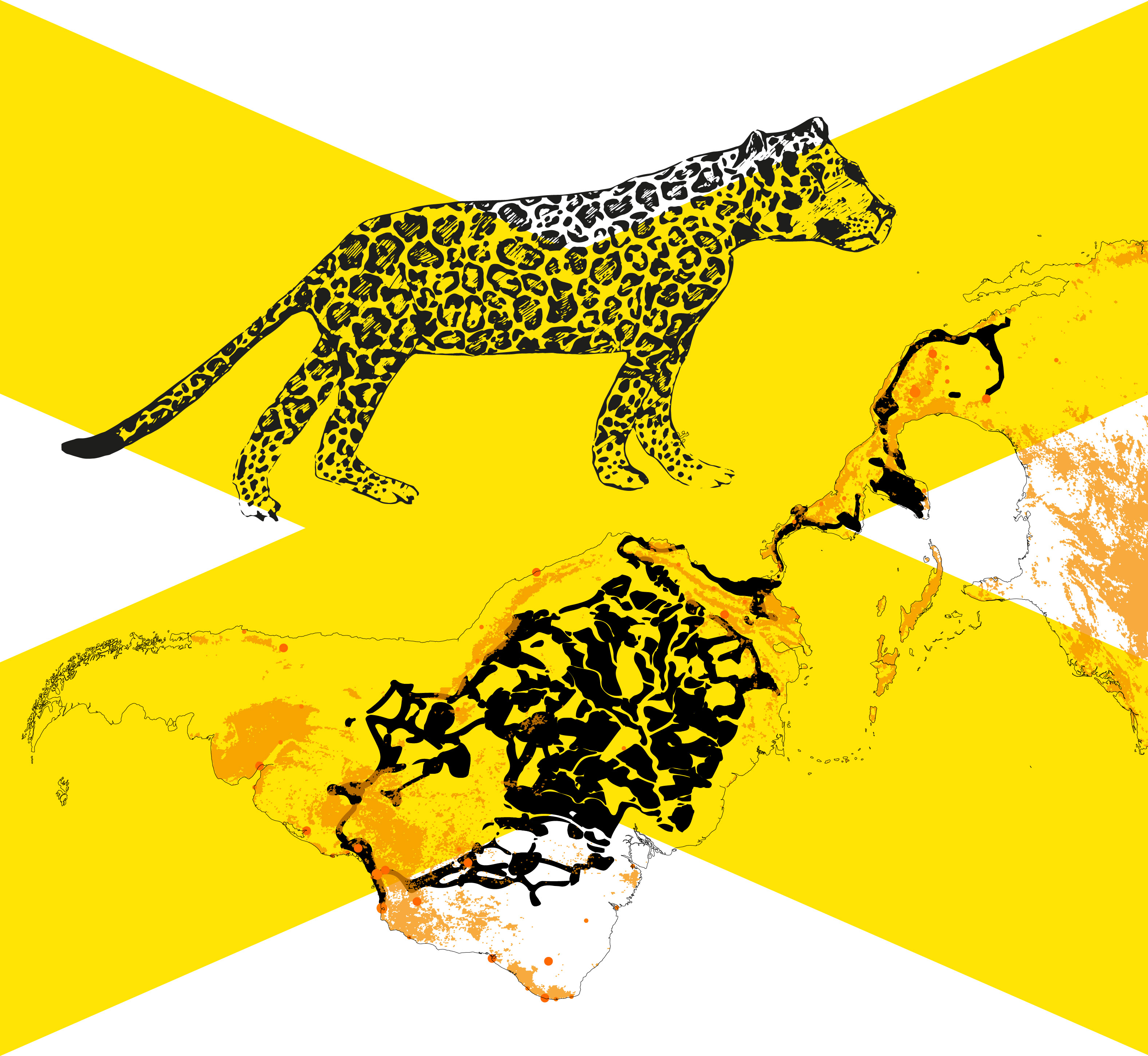 Black and white graphic illustrating Salcedo's Cartographies of Interconnection with a jaguar and a yellow x overlaid