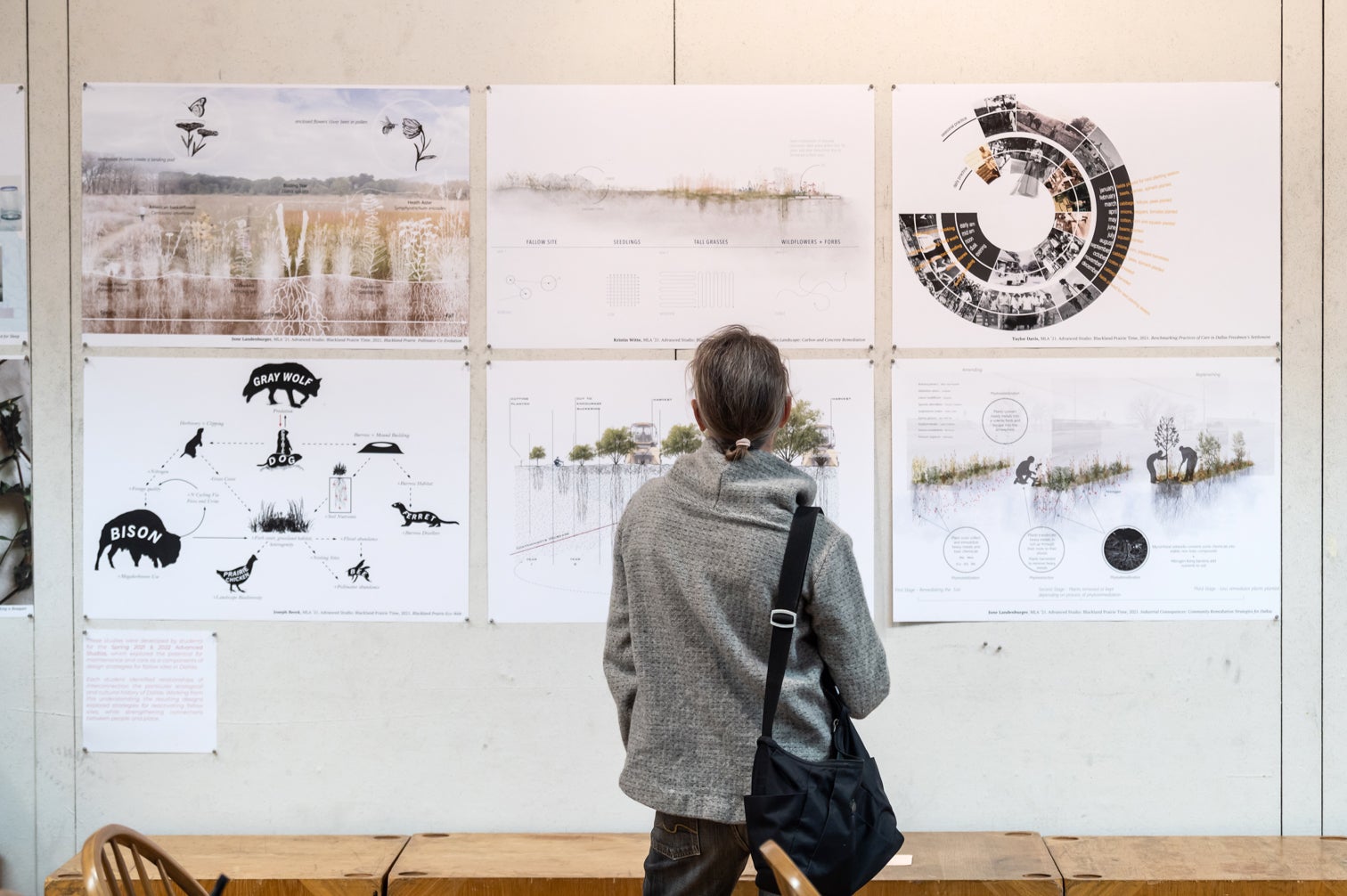 Person looking at a display of student work during the 2023 Meadows Symposium