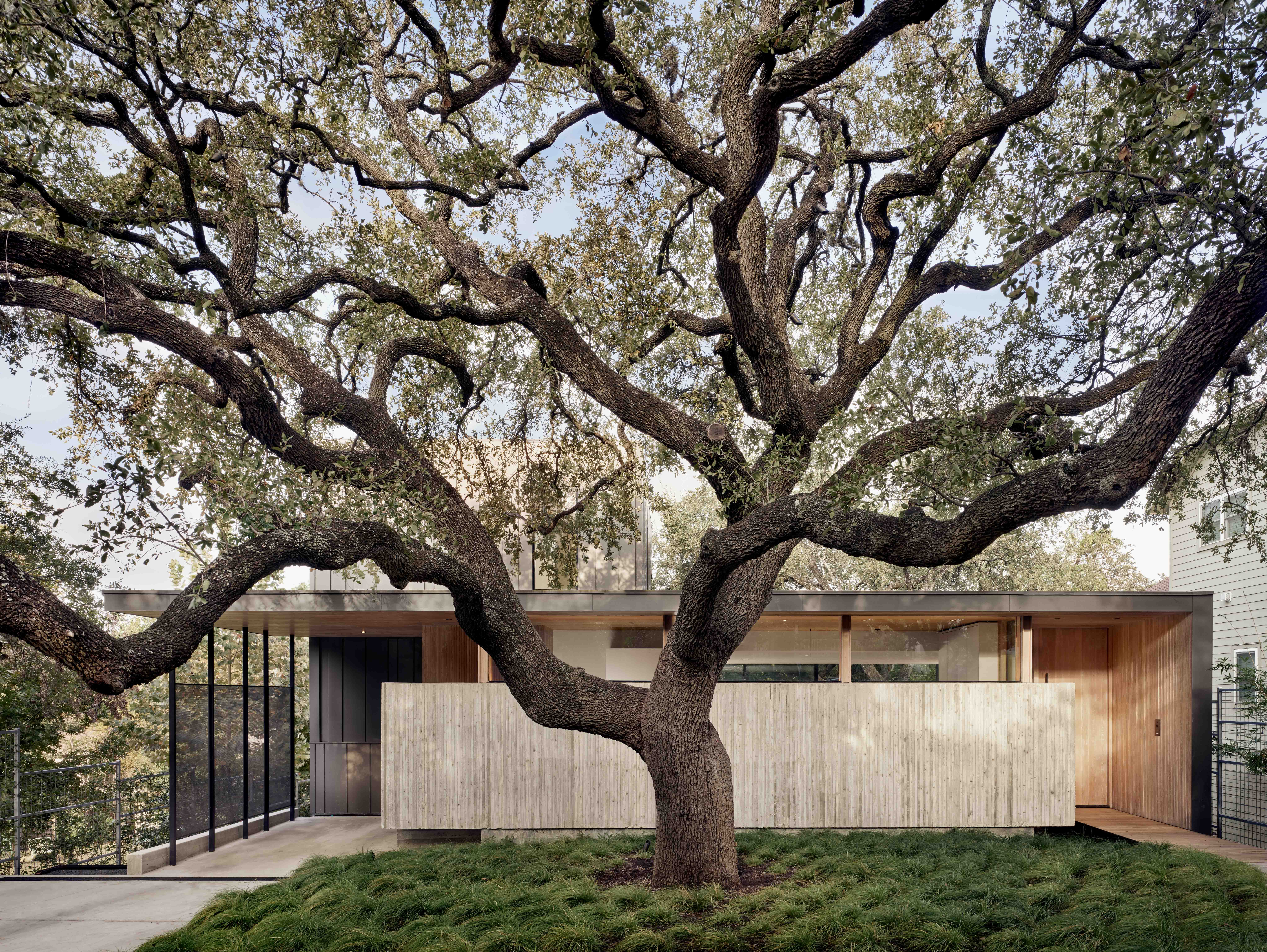 Exterior shot of the Alta Vista Residence with a towering oak tree in front of the home.