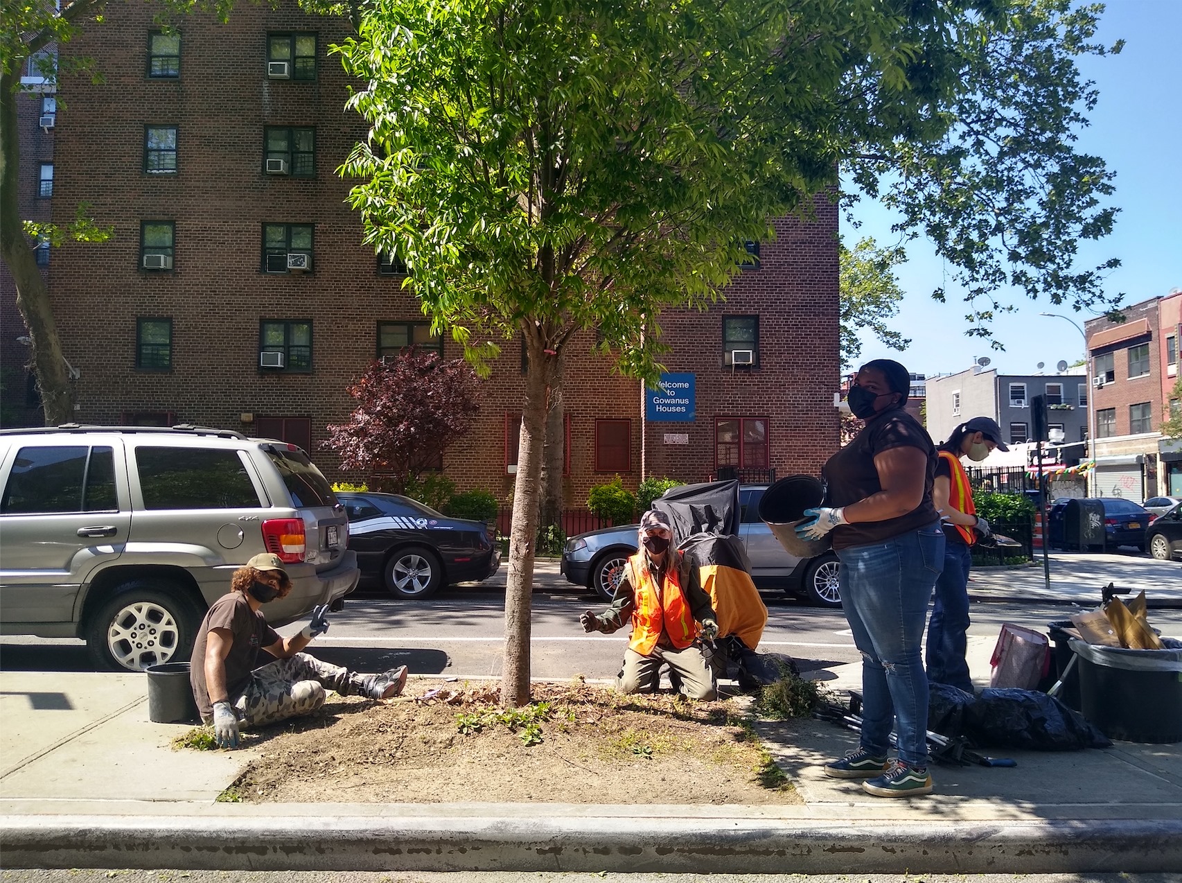 Several people gathered around a tree, caring for it, in the middle of an urban setting.