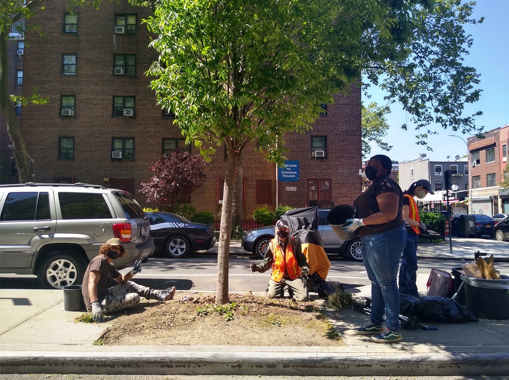 Several people gathered around a tree, caring for it, in the middle of an urban setting.