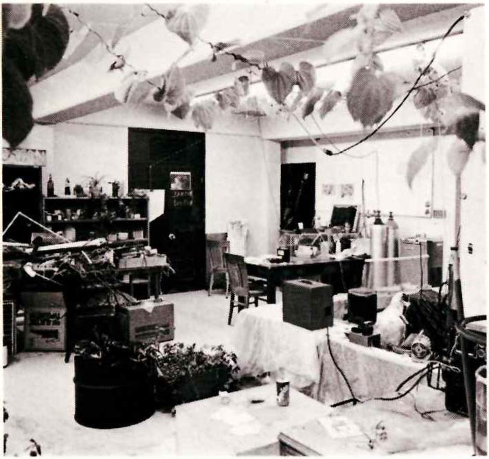 Black and white photo of Hilbertz's lab at UT Austin