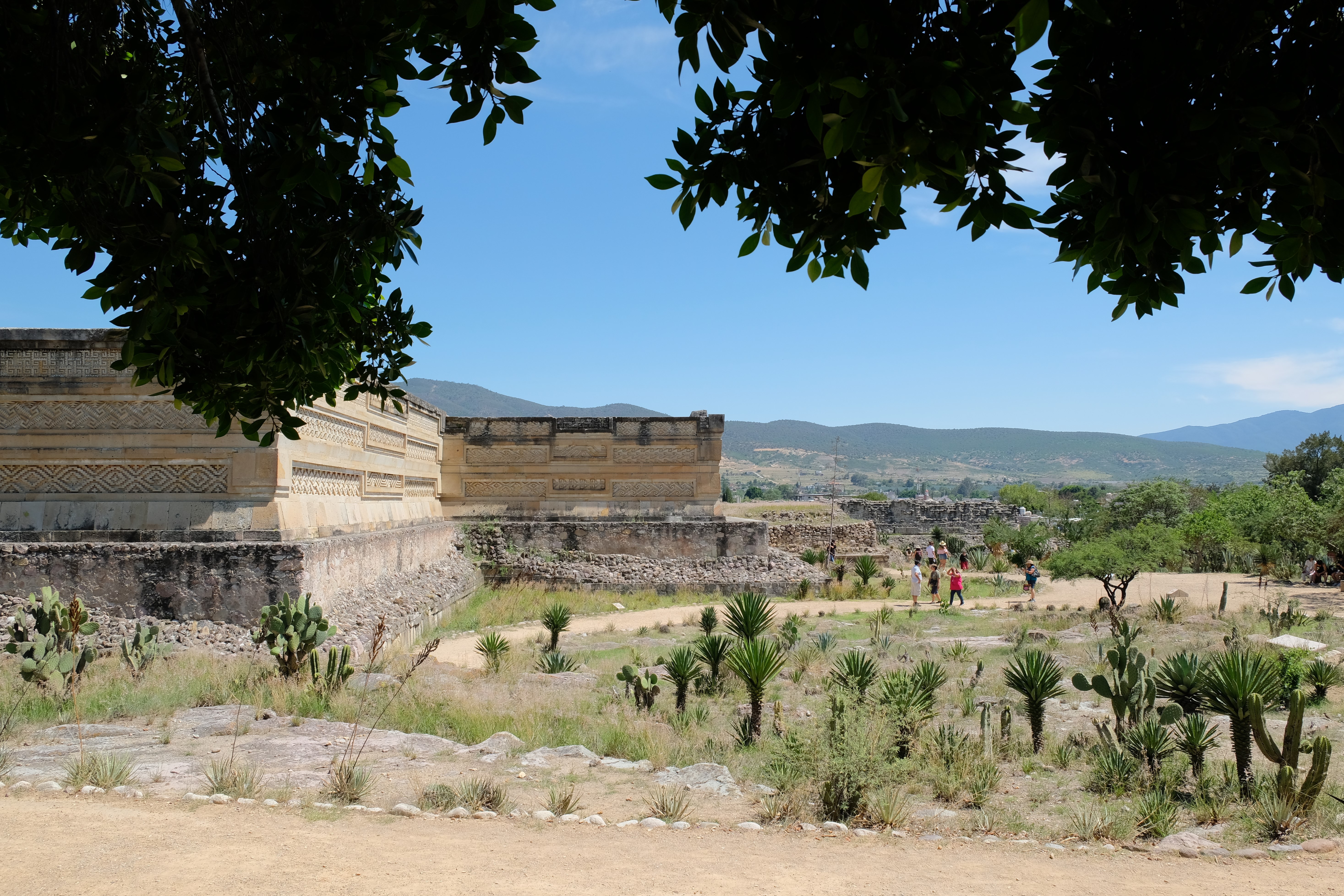 Mitla archaeological site seen from afar from underneath trees.