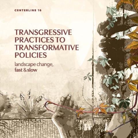 "Transgressive Practices to Transformative Policies" written on a sepia toned book cover with abstract plants in shades of brown, gray and yellow