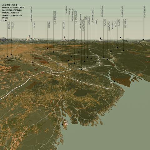 bird's eye view of the amazon