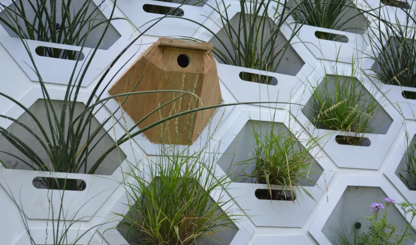 Living Wall