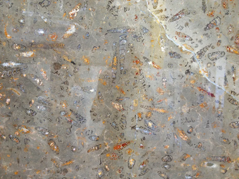 Architectural Tile and Stone
