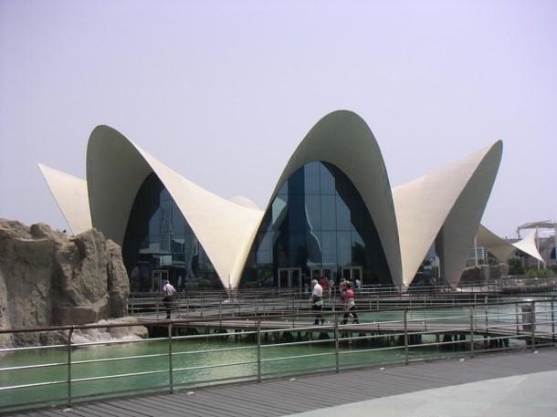 Felix Candela UTSOA Exhibit