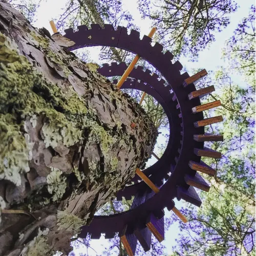 Visible Invisible by Phoebe Lickwar. Looking up against a tree truck with circular structures surrounding the trunk against a leaf-filled background.