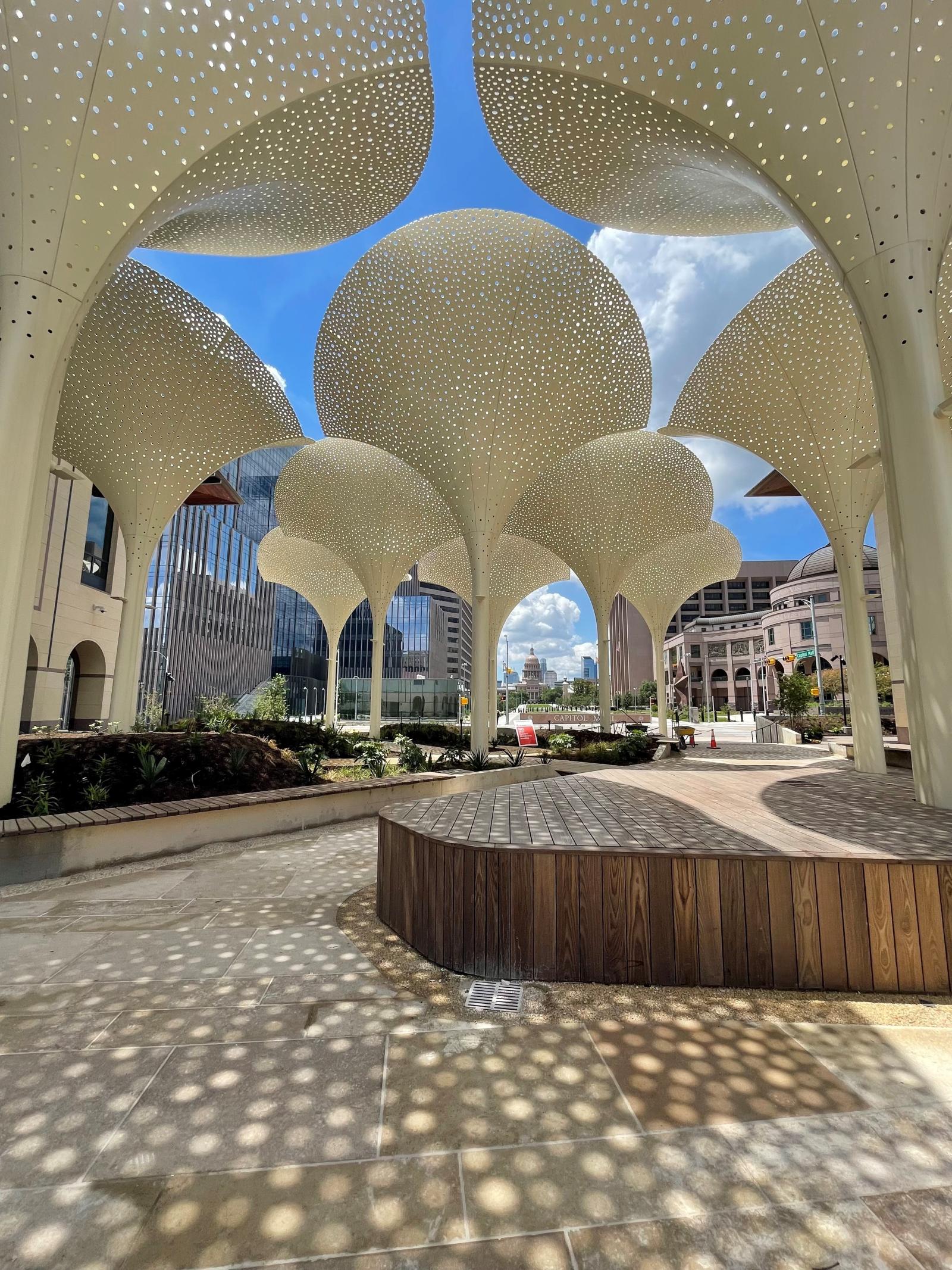 The Blanton's petals looking out towards the Texas State Captiol