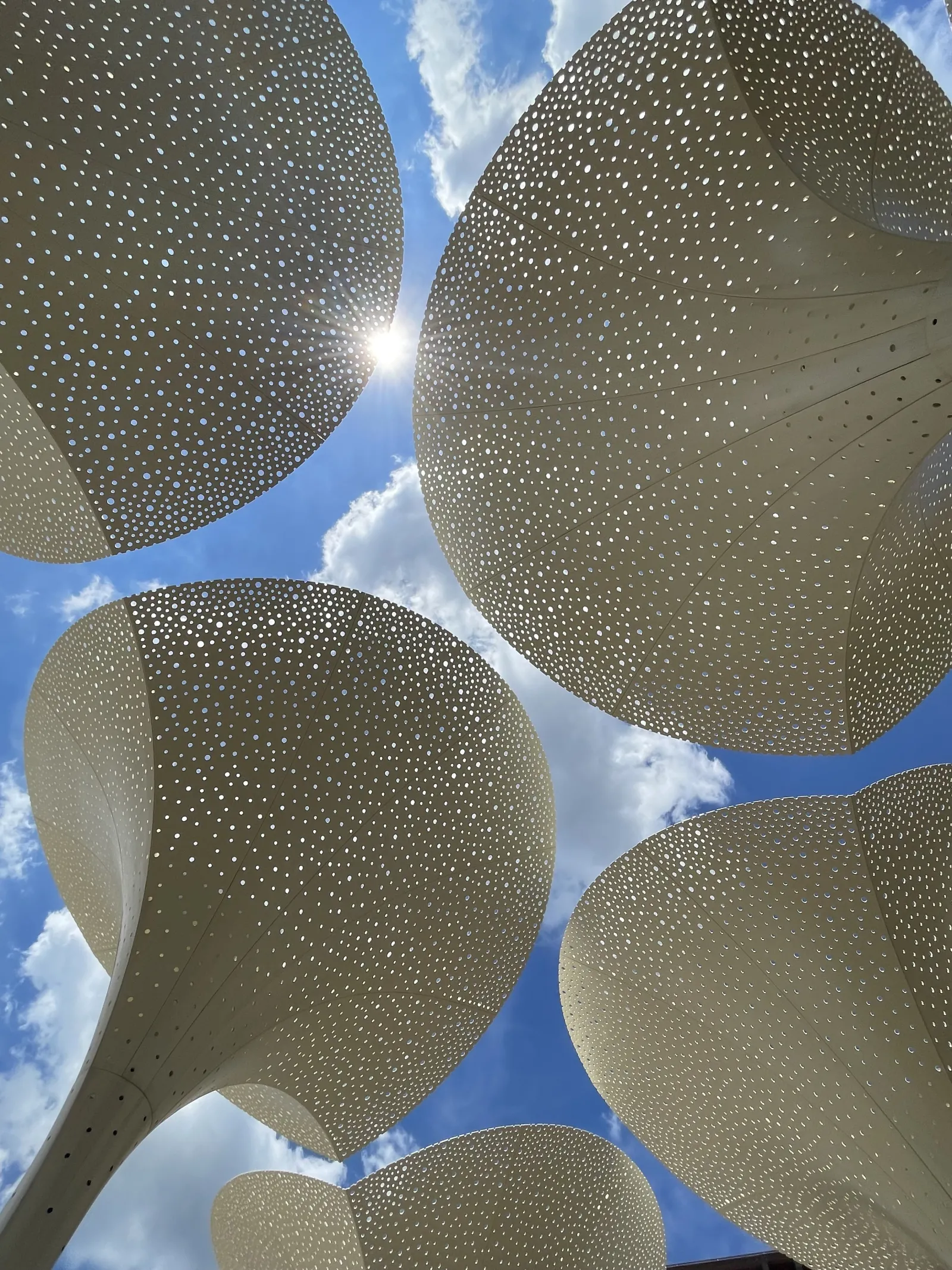 View looking up at the Blanton's petals with clouds in the background