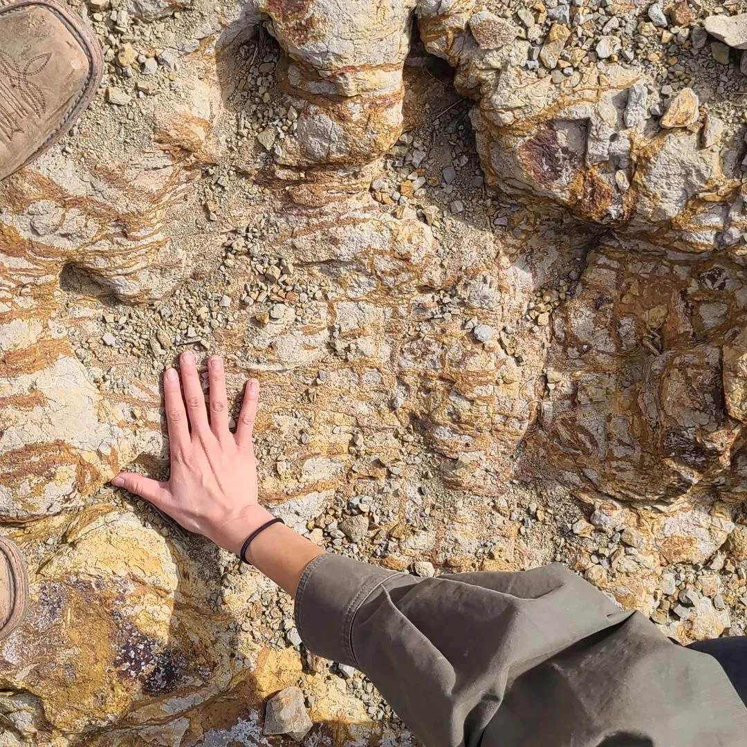 A hand resting on a rock surface