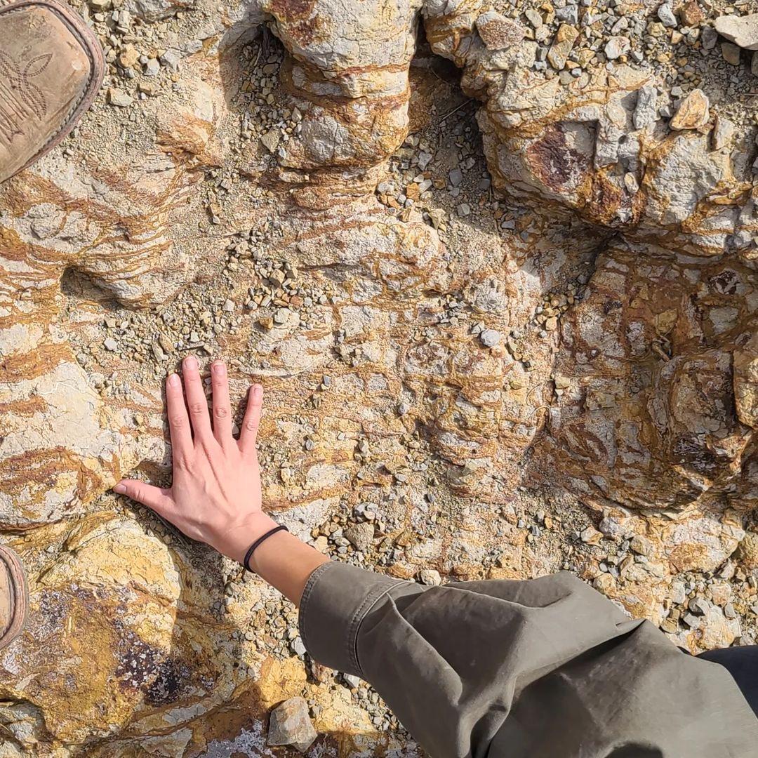 A hand resting on a rock surface