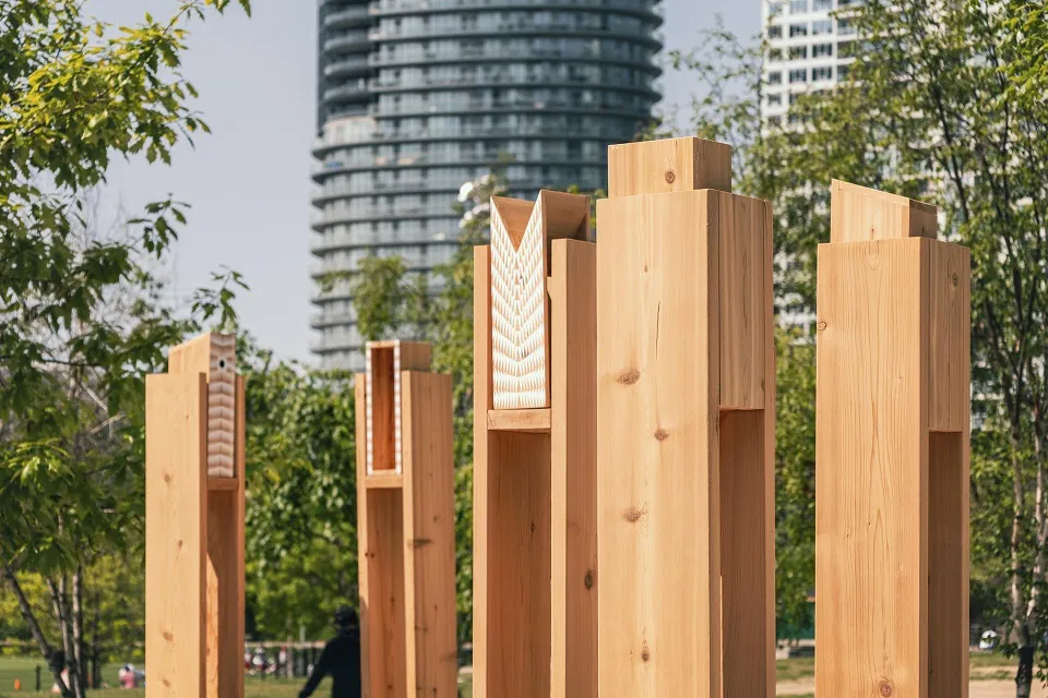 Close up of the top of the Multispecies Lounge cedar pillars