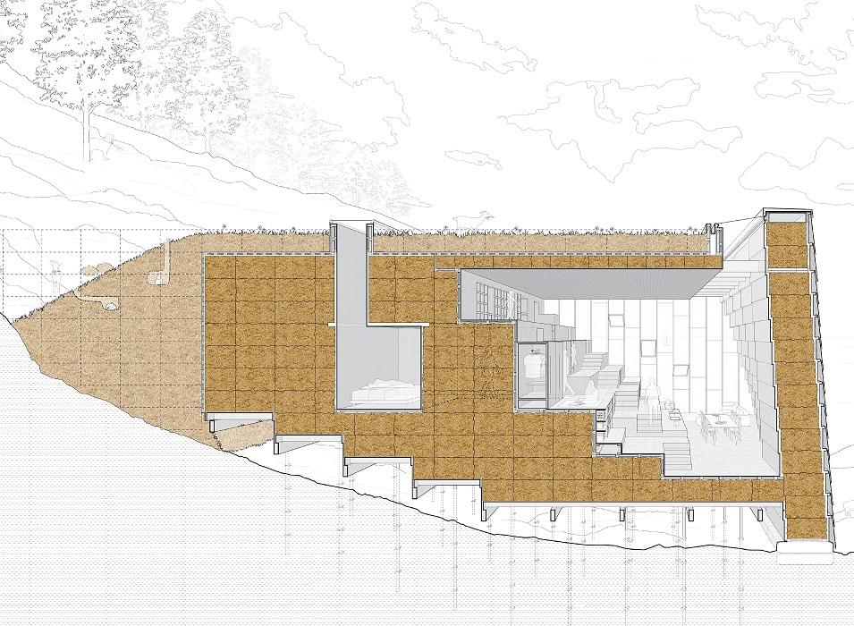 Architectural section drawing of LTL Architecture work