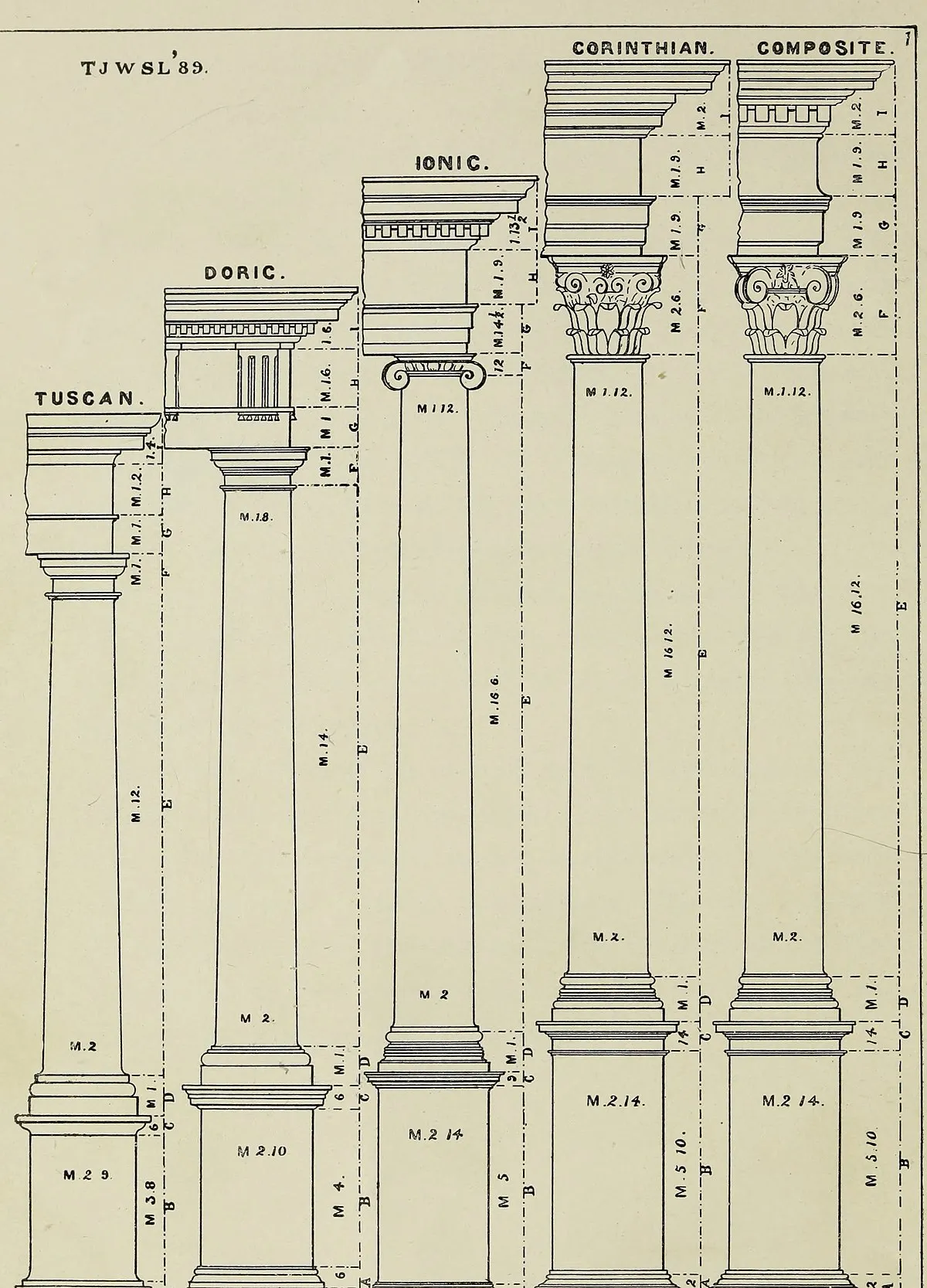 Detailed drawing with measurements of various columns in a row, each a little higher than the other