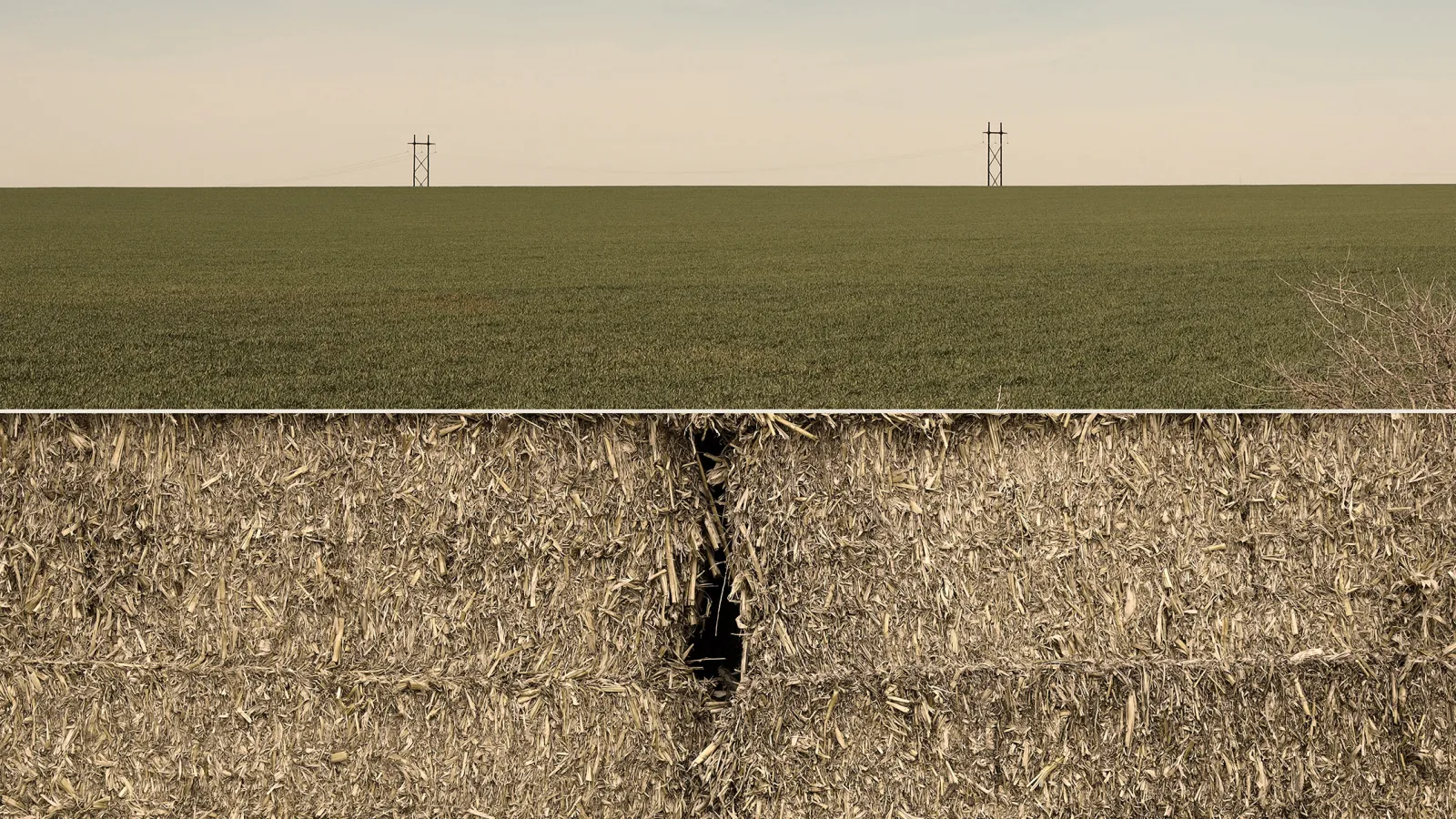 2 images: a flat green field on top of a detail of hay bales