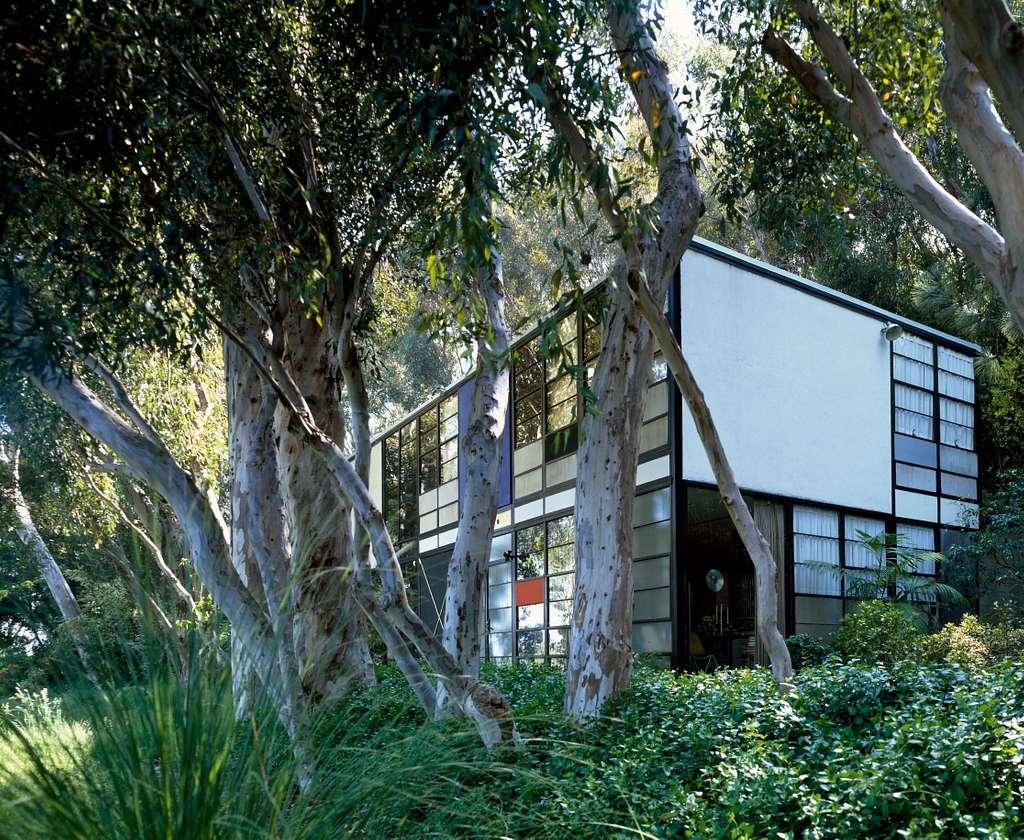 Square house with paneled windows surrounded by trees