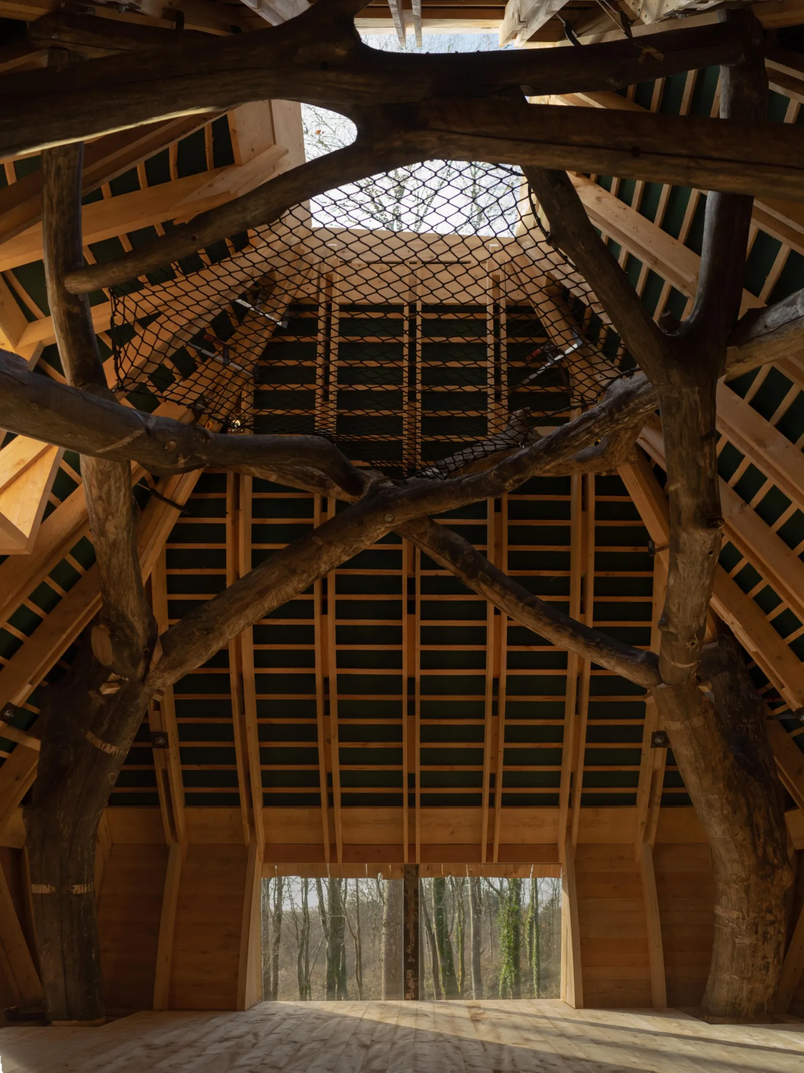 Ceiling of a timer-constructed treehouse with interlocking branches.