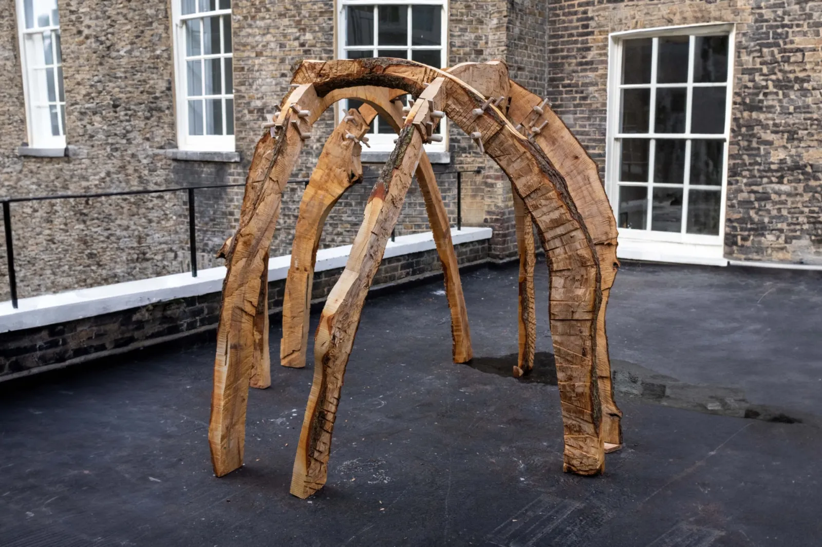 Dome created by carved tree branches