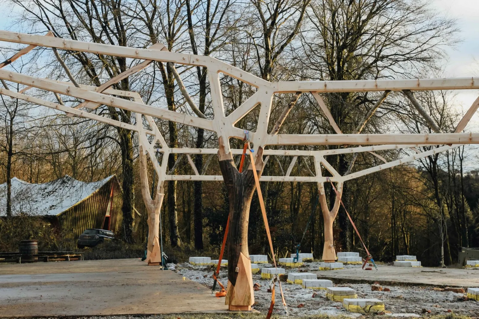 Branches carved at the top to interlock as timber framing