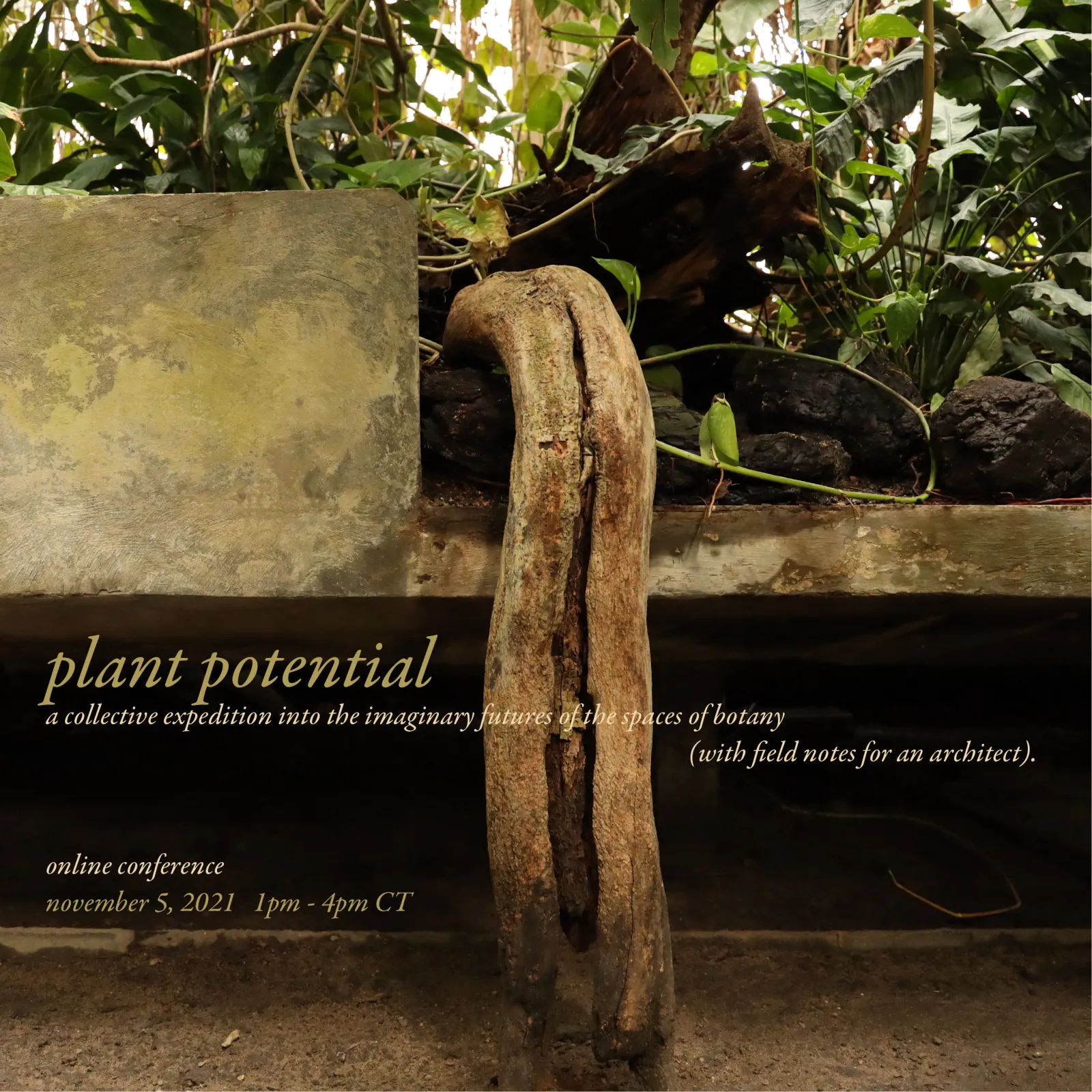 Plant Potential