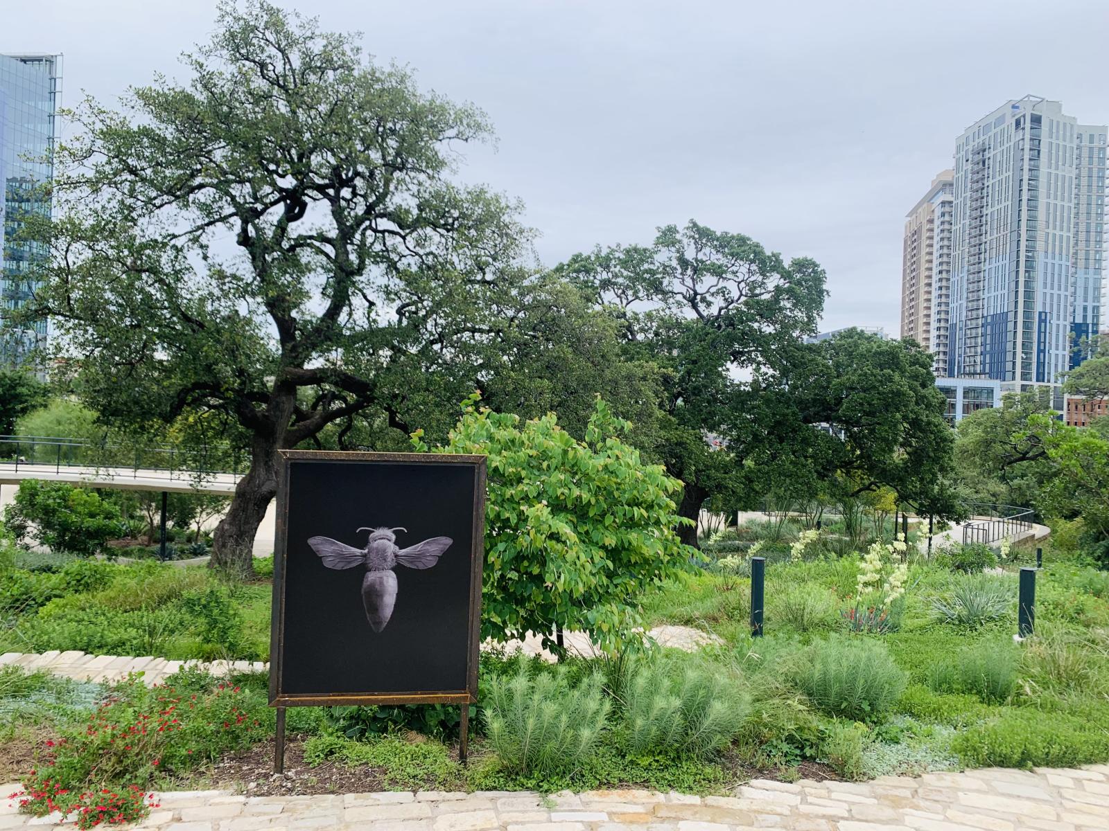 Austin's Waterloo Park