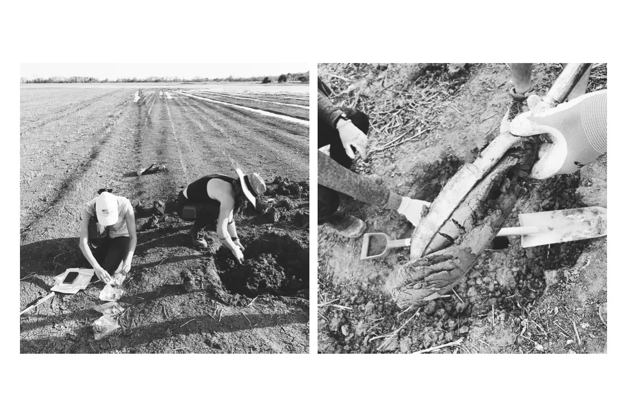 Canard Brake Soil Sampling Canard Brake Soil Sampling