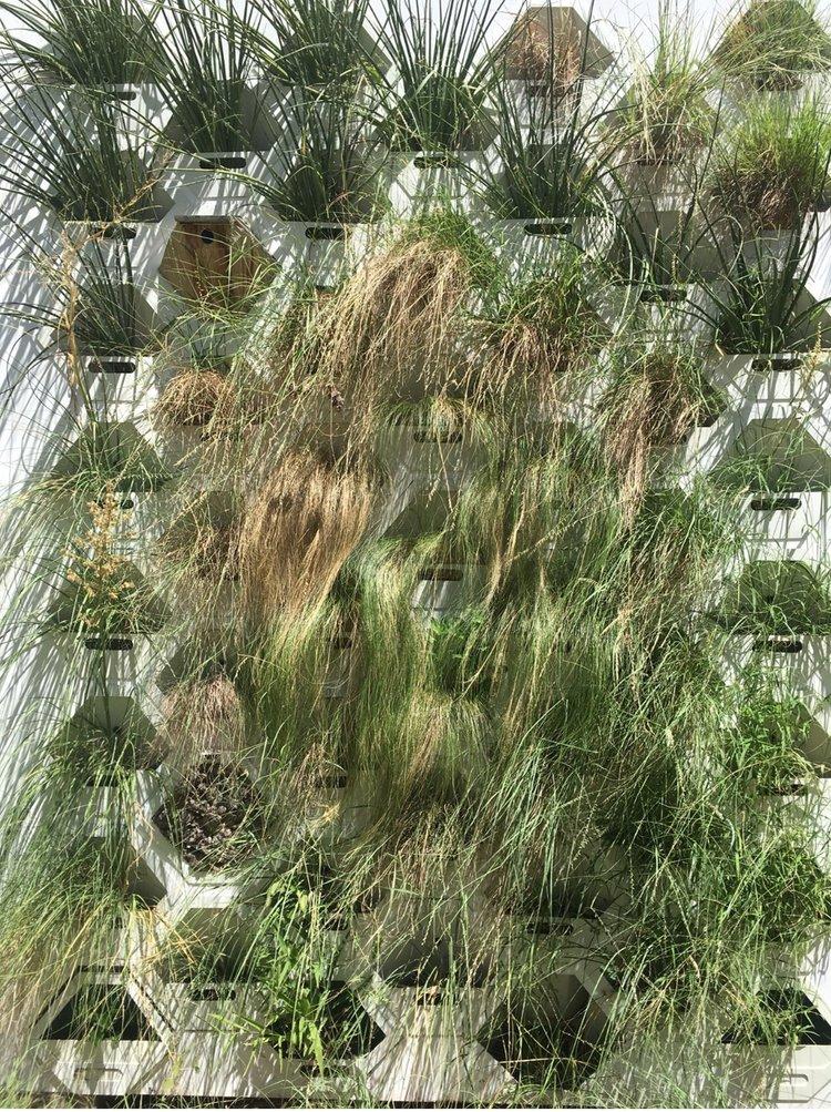 The Living Wall prototype installed on the Goldsmith facade