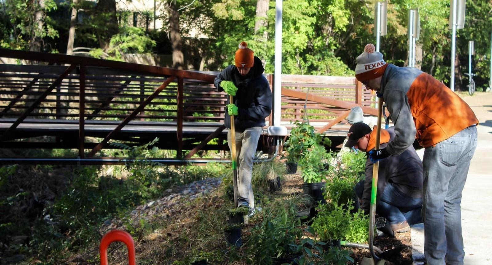 Students add plants along the banks of Waller Creek near Engineering Education and Research Center at UT Austin during Arbor Day