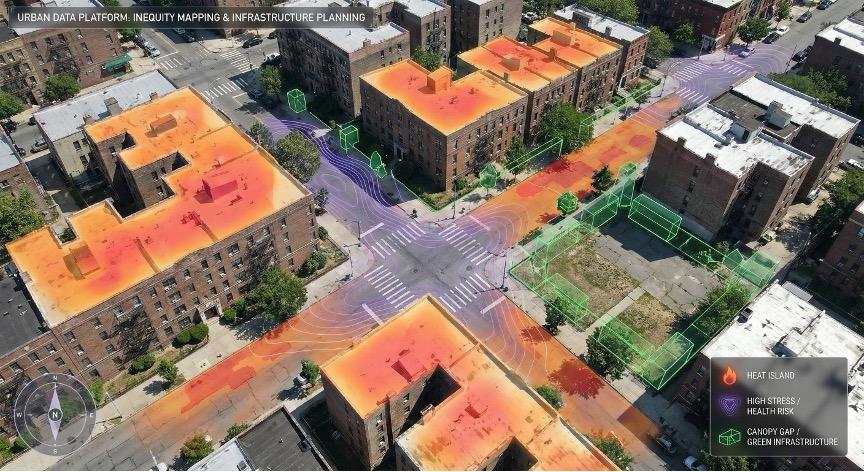 William Sullivan fig 2
