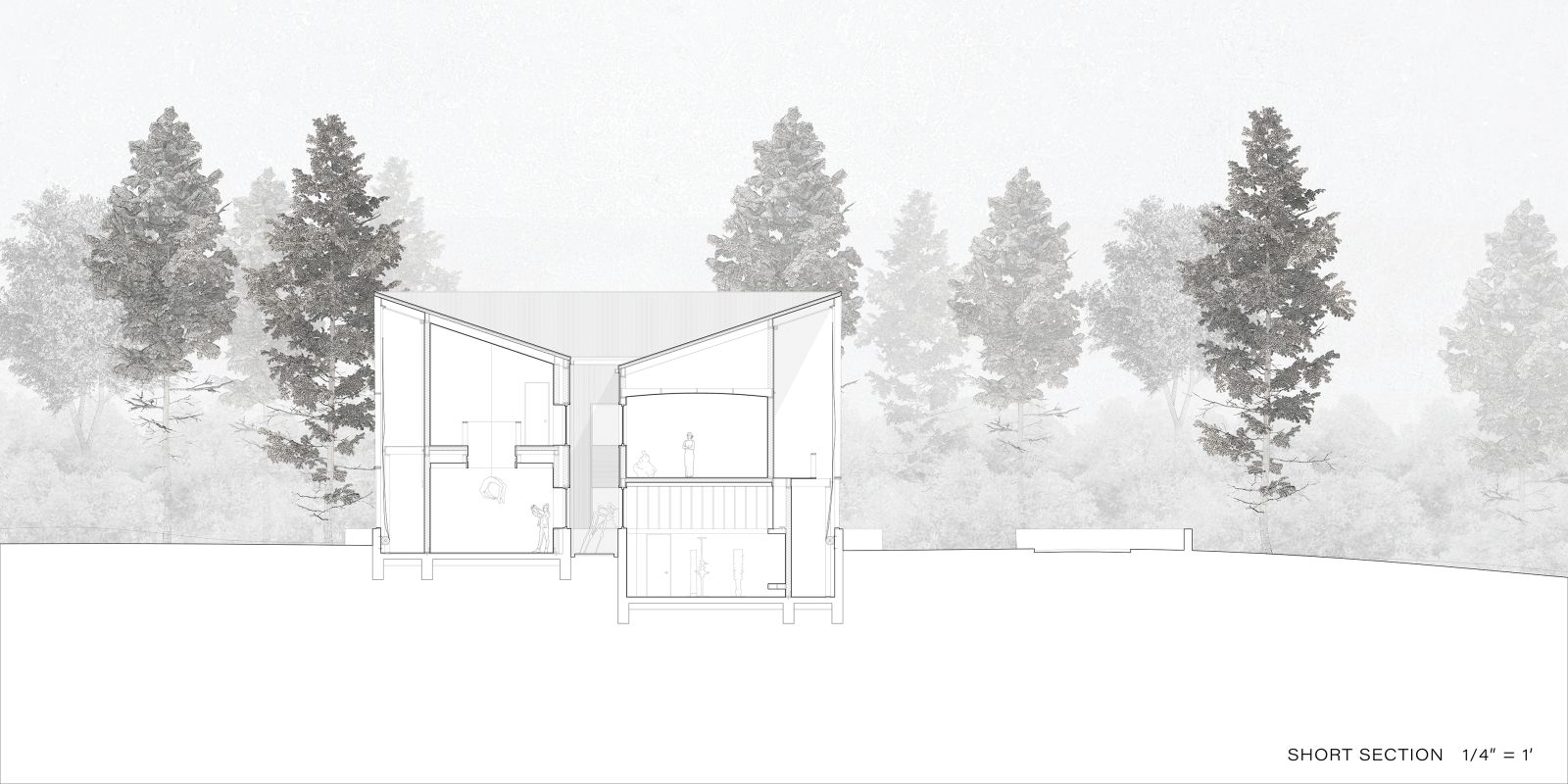 Cross section of a residence in a forest