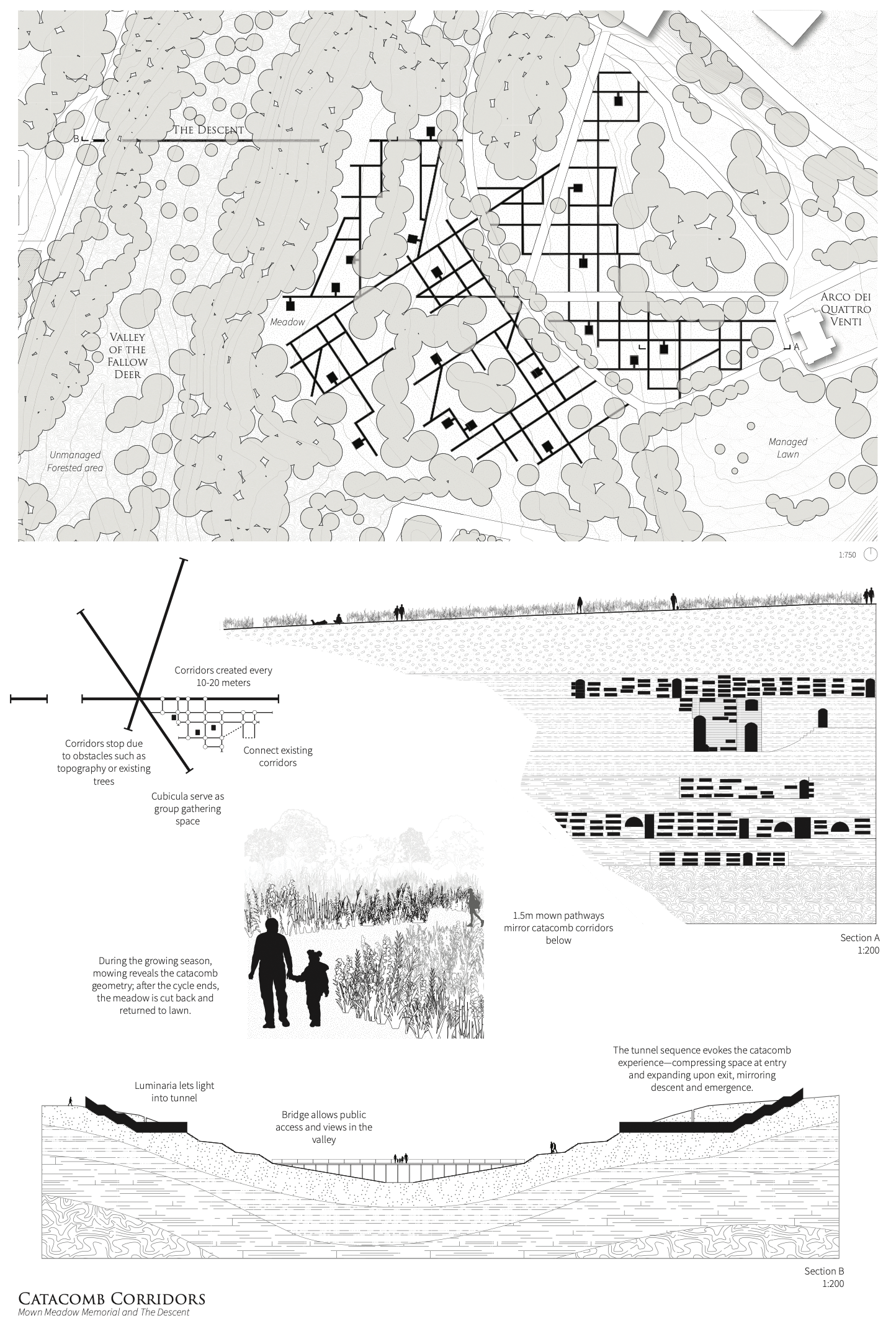 Diagram of landscape elements such as paths and programming in a meadow