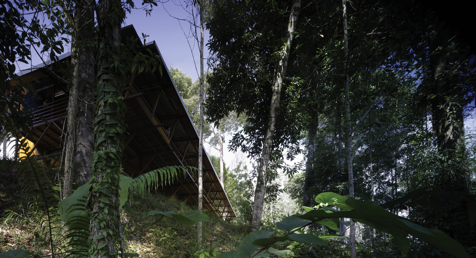 Shelter@Rainforest is an architectural and cultural intervention in a remote and scarred landscape on the island of Borneo, in Malaysia