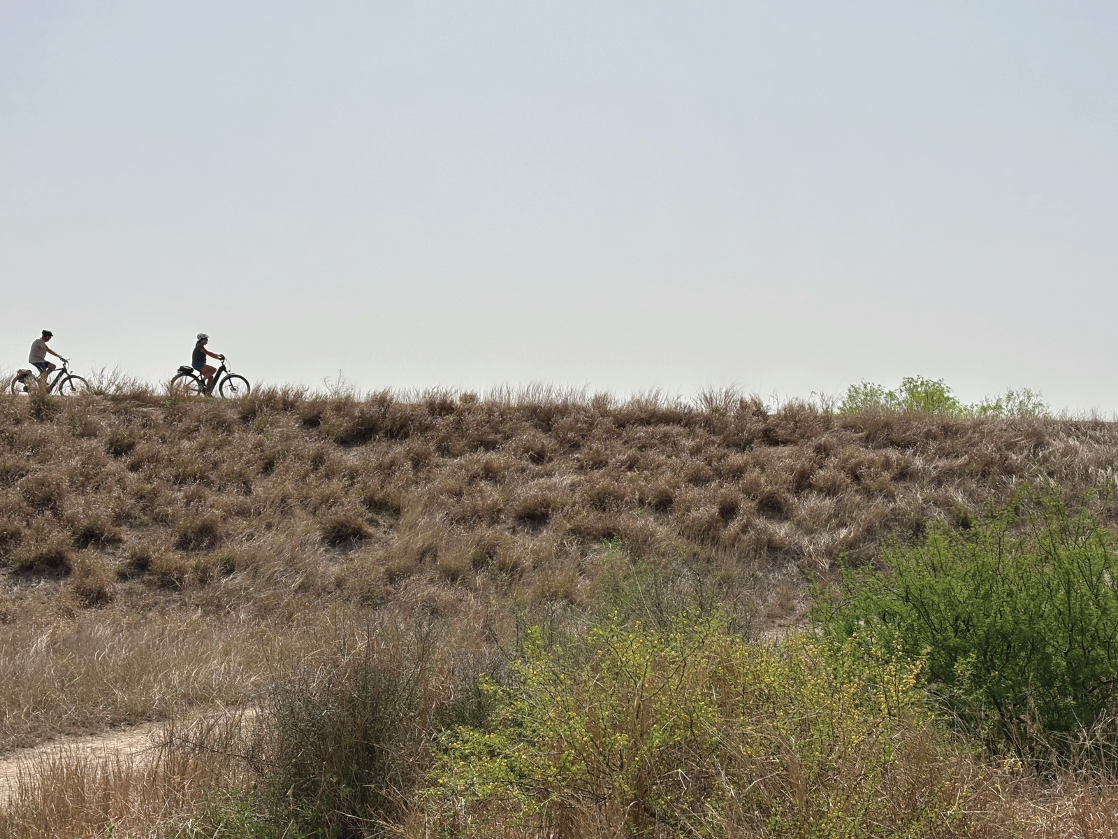bicycles on the levee Estrero Llano park