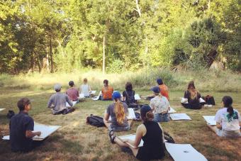 Landscape Architecture students sit on the ground looking at a wall of trees, sketching what they see