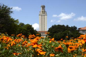 UT Tower with a bed of bright orange flowers in the foreground