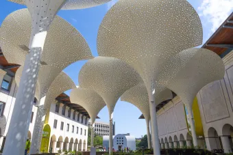 Blanton Museum of Art Petals sculptures at Faulkner plaza