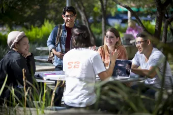 Students studying outside