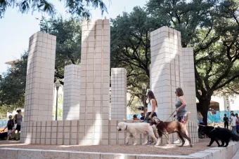 Students with dogs walking by a piece of public art