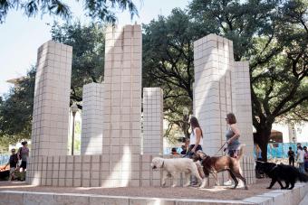 Students with dogs walking by a piece of public art