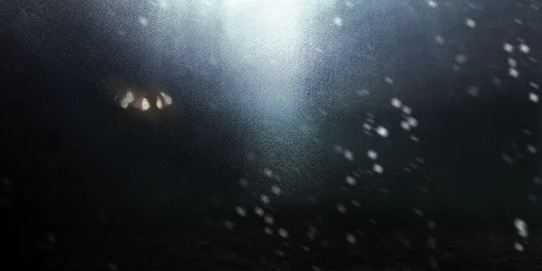 Twilight Requiem Twilight Requiem