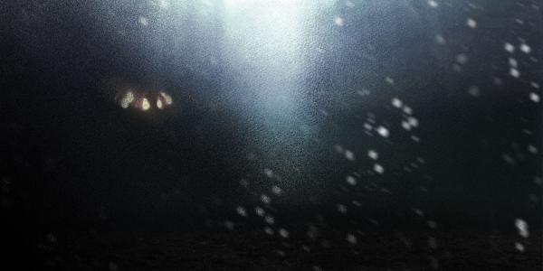 Twilight Requiem Twilight Requiem