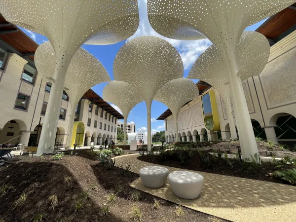 Snøhetta's petals at The Blanton Museum of Art seen during a sunny day