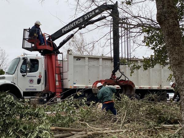 A man operating heavy machinery while picking up downed branches from a tree.