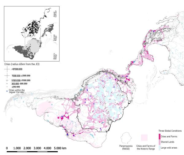 A stronghold against urbanization. Correlation of the Jaguar Corridor with the dataset of the “Three global conditions for biodiversity conservation and sustainable use” (2020). Credit: Juana Salcedo