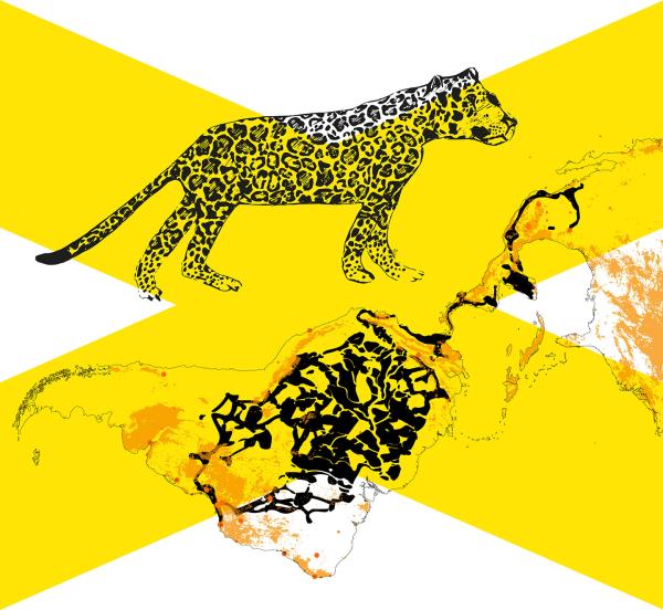 Graphic with a large yellow x in the middle, with a jaguar and a map on top of it